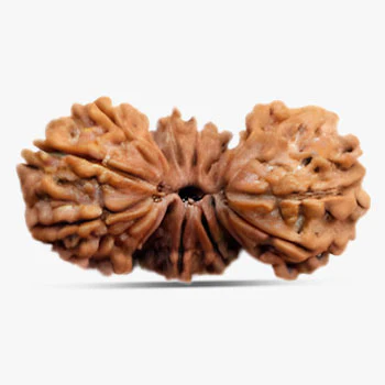 Buy Rudraksha Online